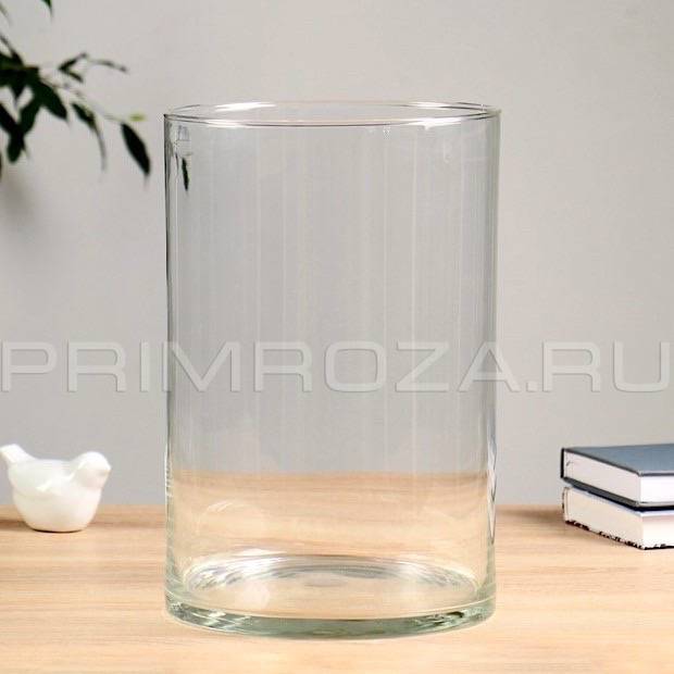Vase-tube (glass) in a gift bag