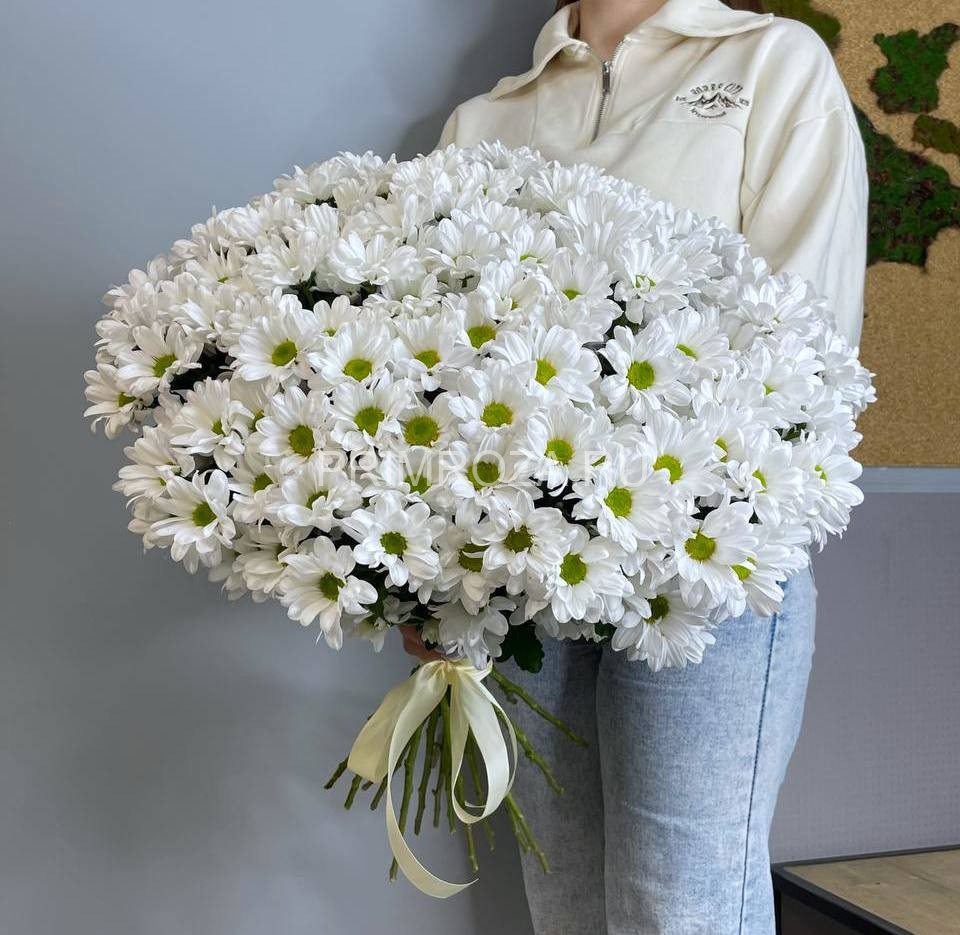#М011 Букет из 25 ромашковых хризантем  Flowers delivery Vladivostok