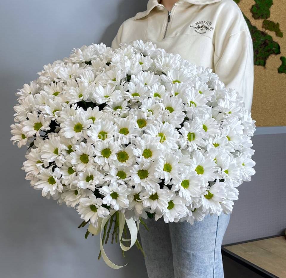 #М011 Букет из 25 ромашковых хризантем  Flowers delivery Vladivostok