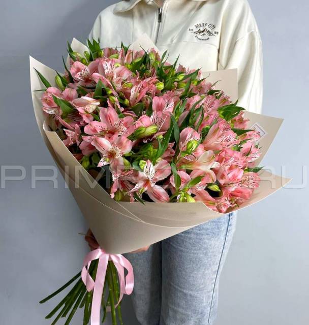 Alstroemeria Mix #A7123 