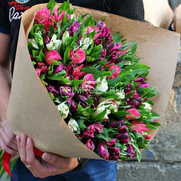 A mix of alstroemeria 