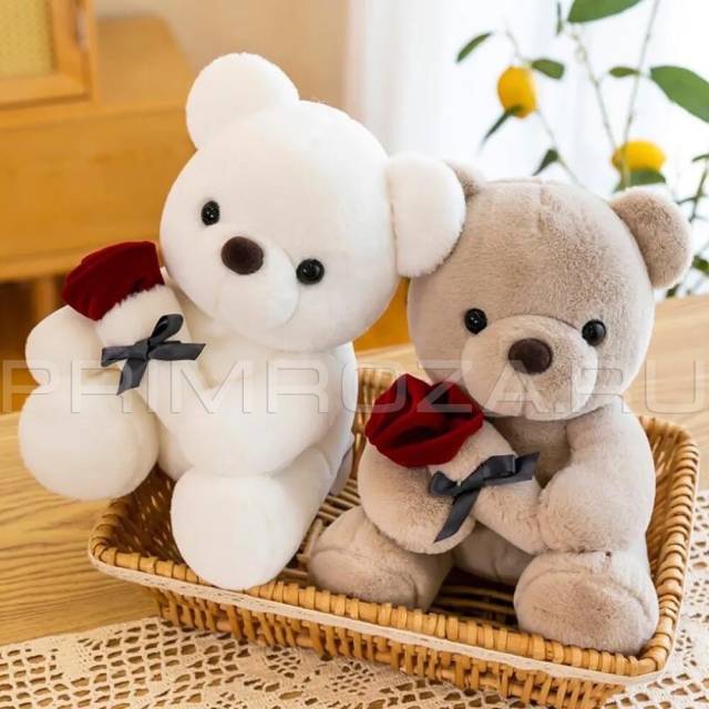 Bear 