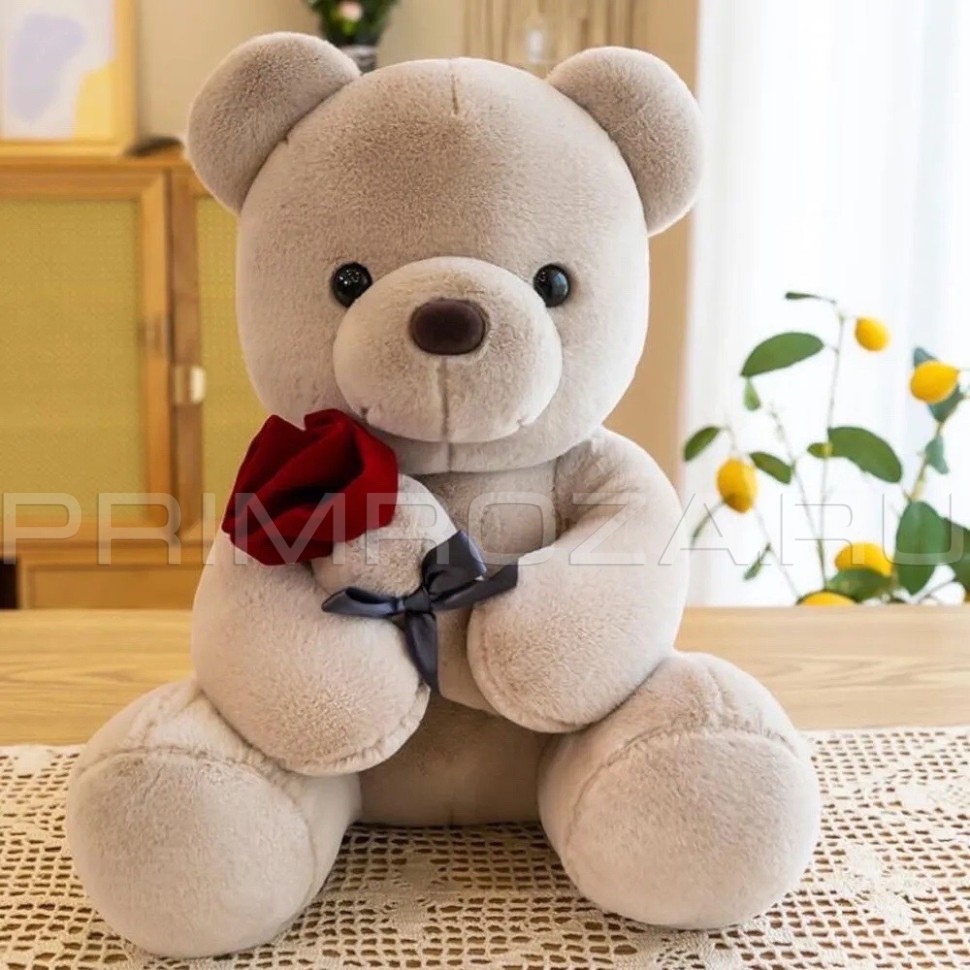 Bear 