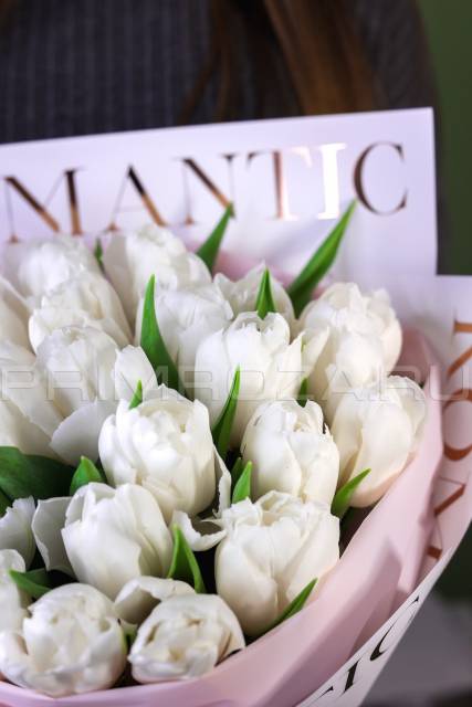 Bouquet of white tulips  