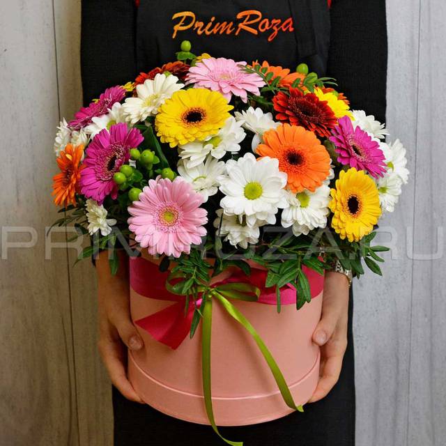 Arrangement of germini and chrysanthemums chamomile #G001