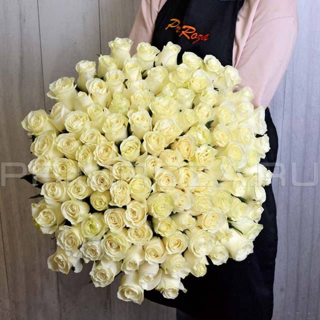 101 white roses 