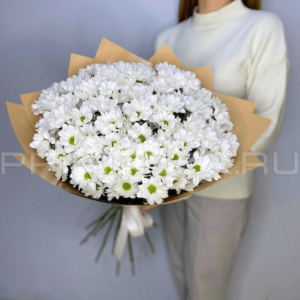 Bouquet of 15 chamomile chrysanthemums