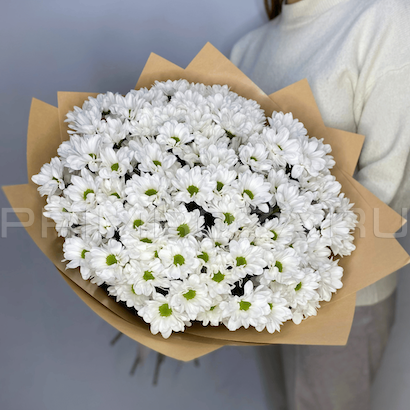 Bouquet of 15 chamomile chrysanthemums
