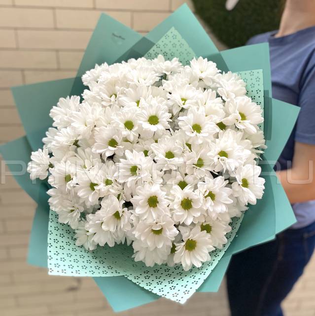 Bouquet of chamomile chrysanthemum #A5373