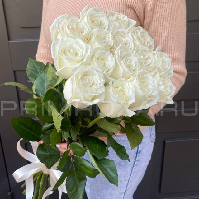 15 White Ecuadorian Roses #R15254 