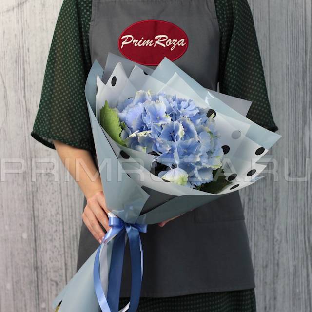 Mono-bouquet with hydrangea #G8405