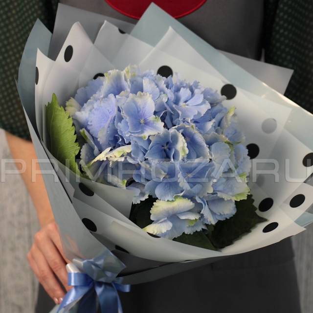 Mono-bouquet with hydrangea #G8405