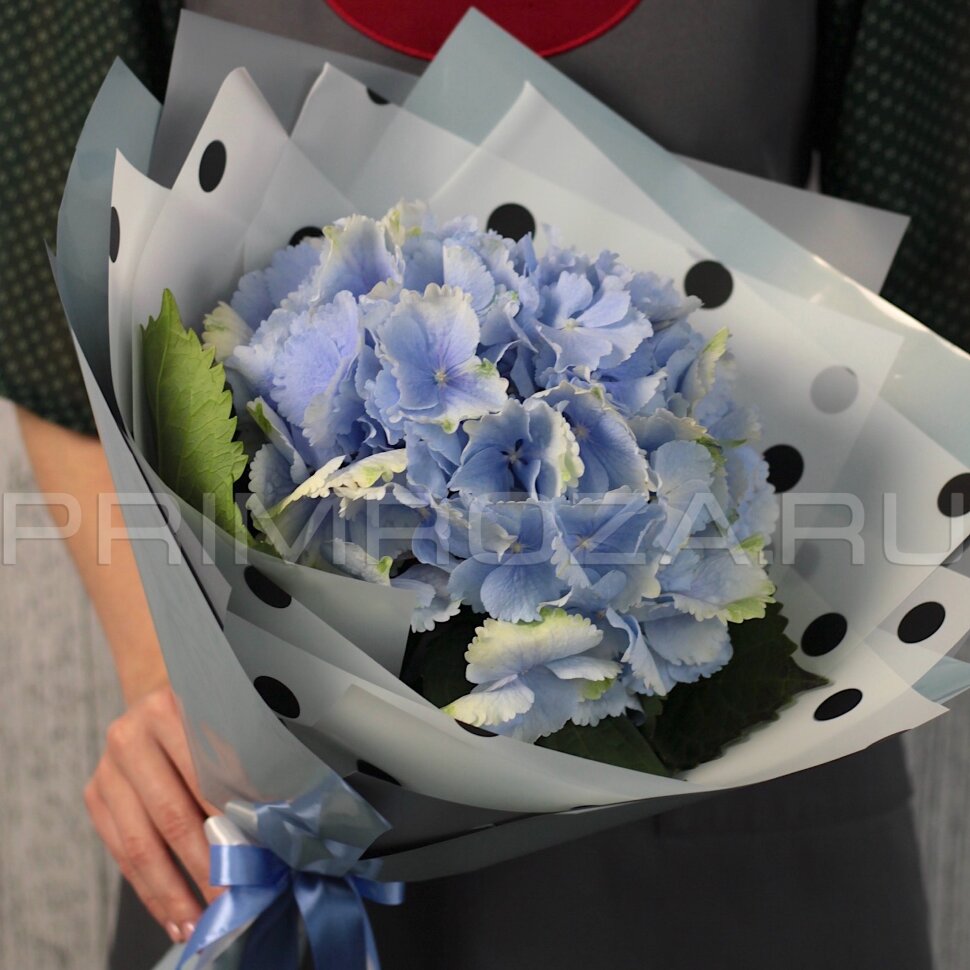 Mono-bouquet with hydrangea #G8405 Flowers delivery Vladivostok