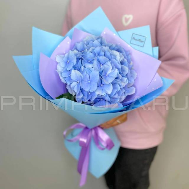 Mono-bouquet with hydrangea #G8405