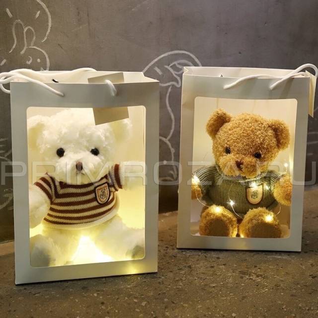 Teddy bear #M0021