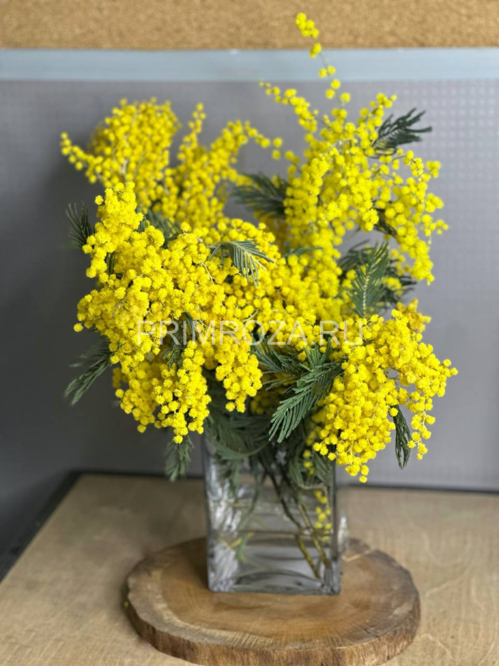 Мимоза  Flowers delivery Vladivostok