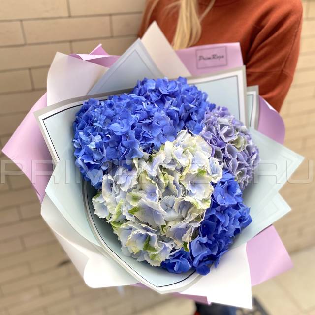 Monobucket of 5 hydrangeas #G5284