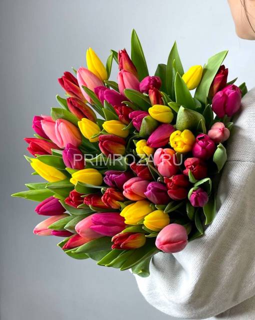 Тюльпаны микс (51 шт) 