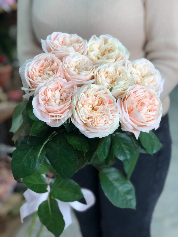 Букет из 9 пионовидных роз  Flowers delivery Vladivostok