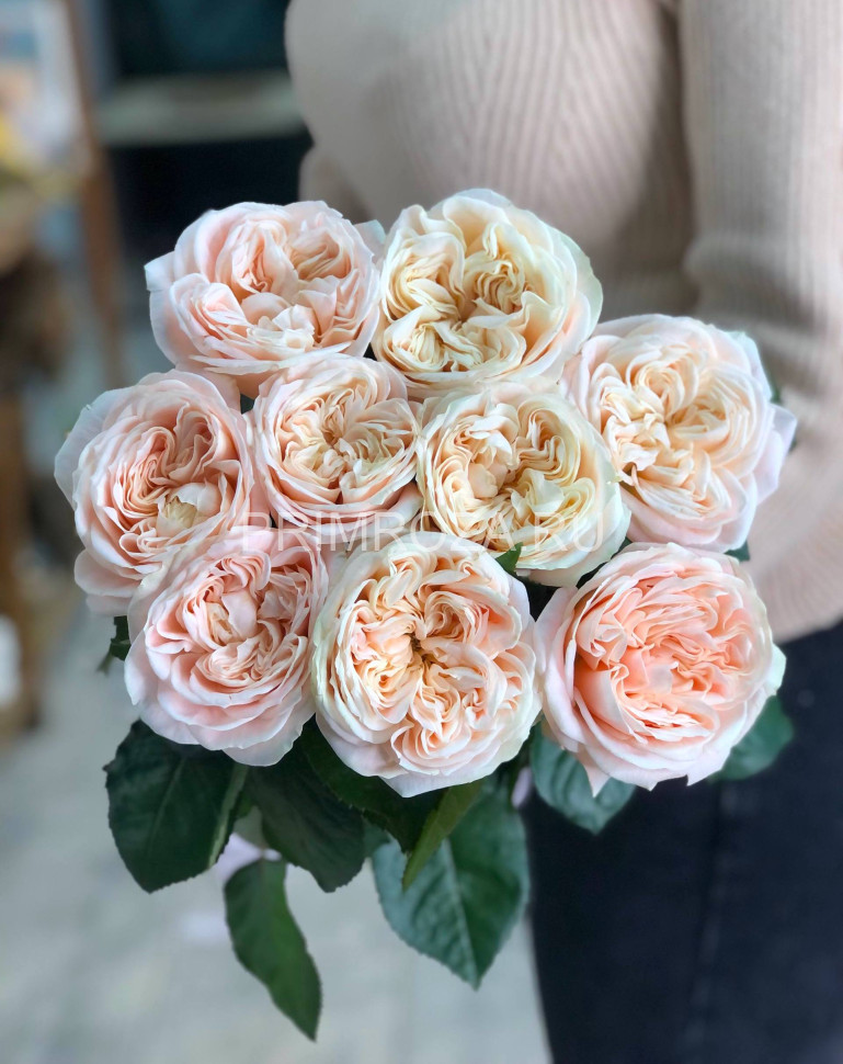 Букет из 9 пионовидных роз  Flowers delivery Vladivostok