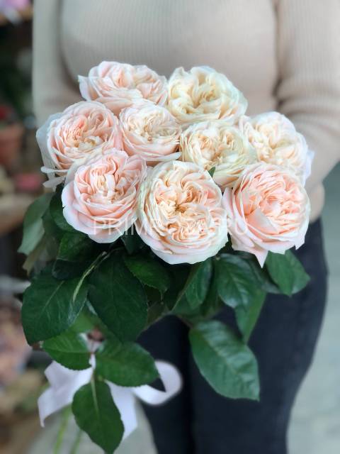 Букет из 9 пионовидных роз #DM032