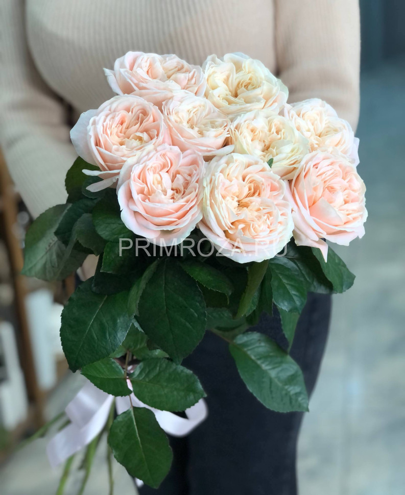 Букет из 9 пионовидных роз #DM032 Flowers delivery Vladivostok