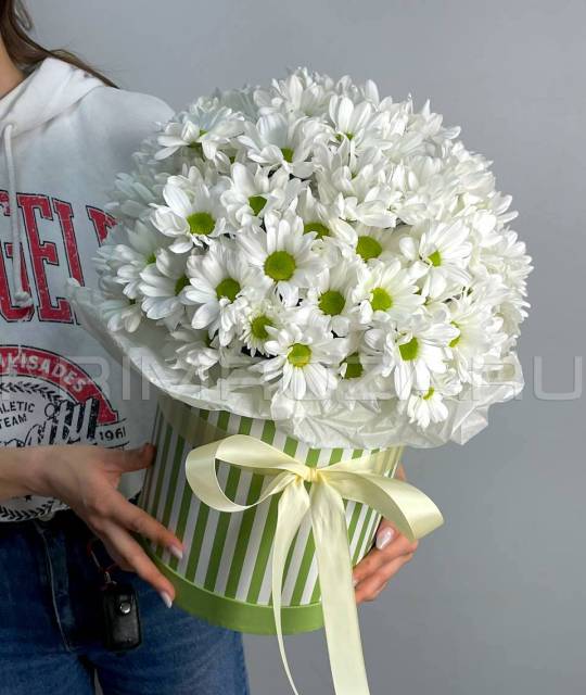 Prefabricated bouquet with chrysanthemum in a tube #A2059