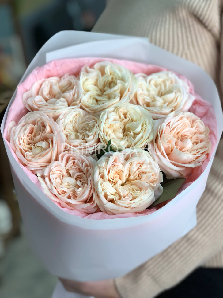 Букет из 9 пионовидных роз #DM033 Flowers delivery Vladivostok