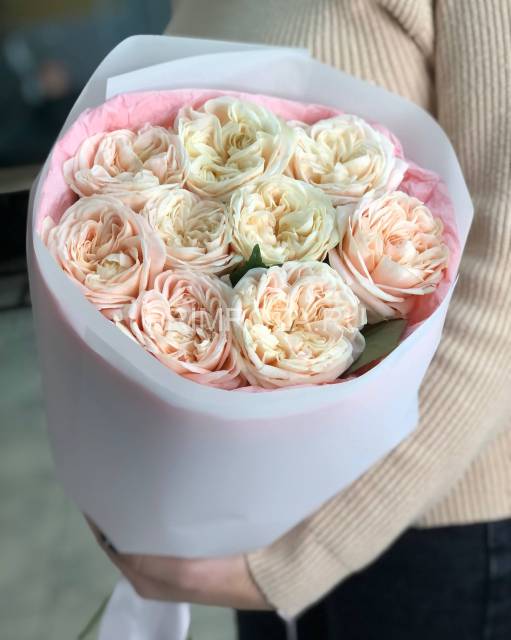 Букет из 9 пионовидных роз #DM033