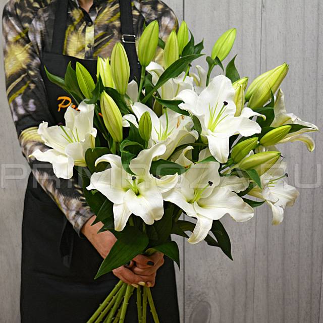 A bouquet of lilies #L015