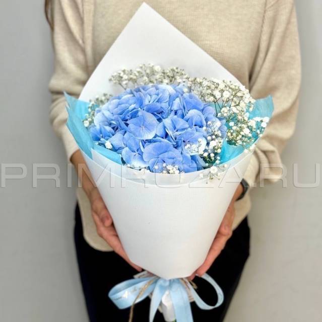 Bouquet of hydrangeas and gypsophila