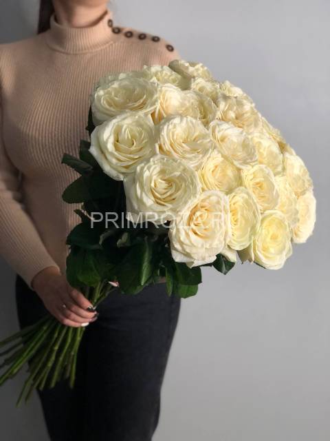 Букет из 25 белых высоких роз #DM034