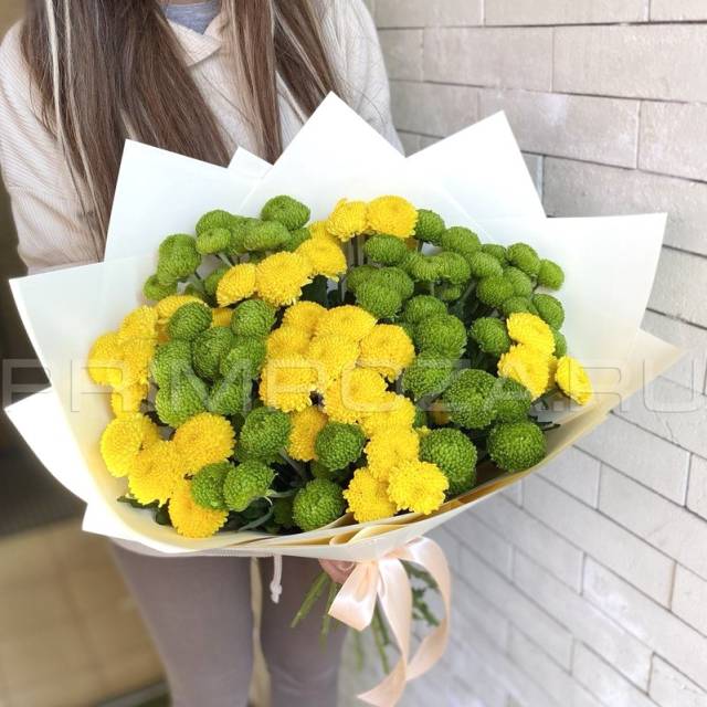 Mix of chrysanthemums 