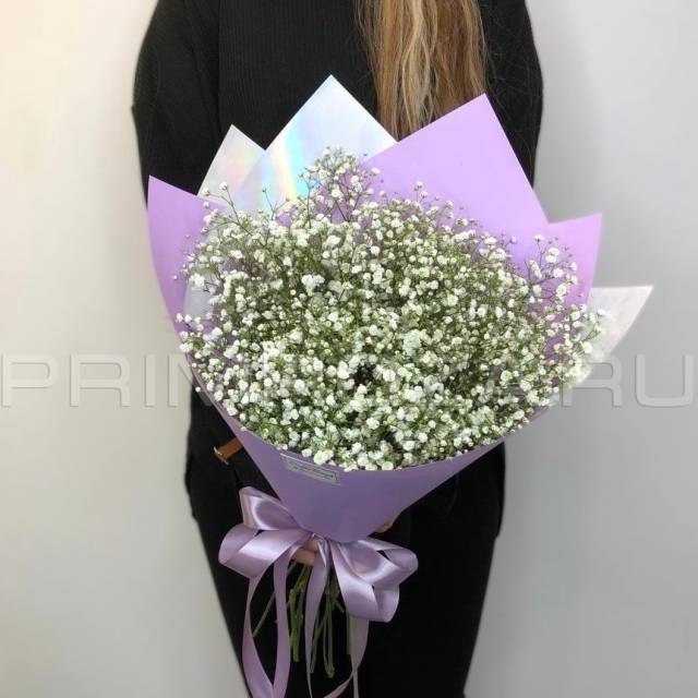 Gypsophila Monobucket #DM70
