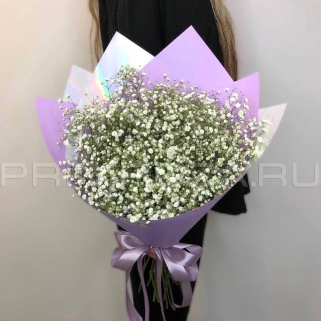 Gypsophila Monobucket #DM70