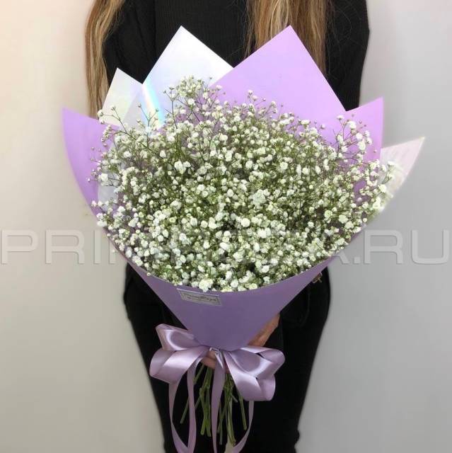 Gypsophila Monobucket #DM70