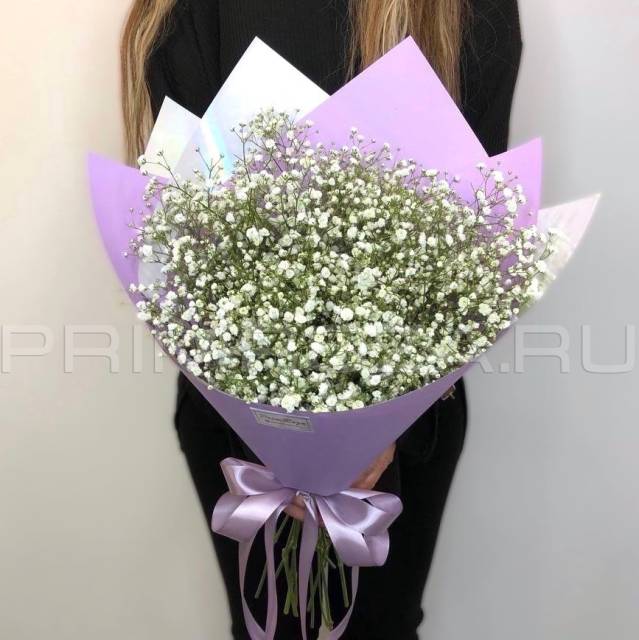 Gypsophila Monobucket #DM70