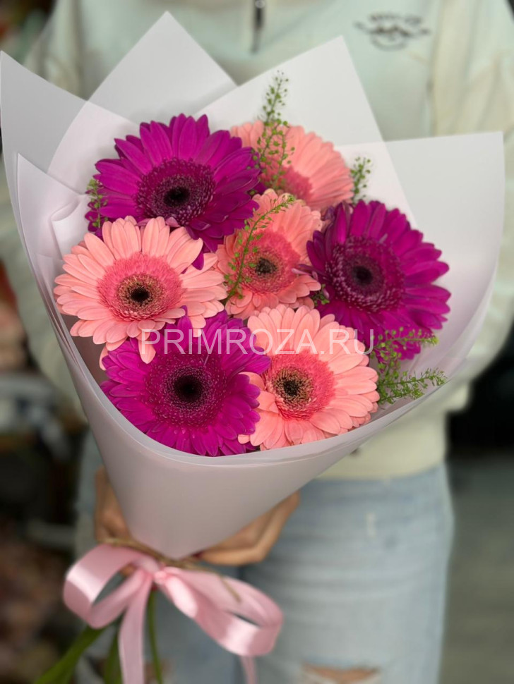 Monobook of 7 gerberas  Flowers delivery Vladivostok