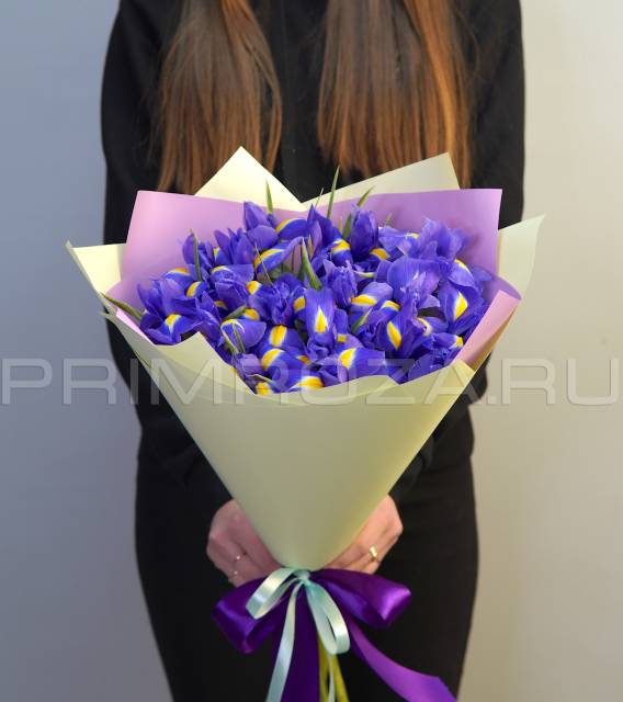 19 IRISES IN A PACKAGE