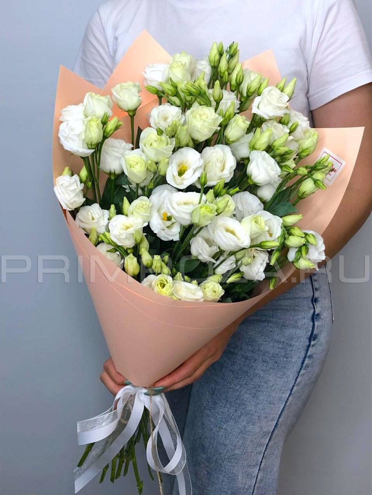 Monobook from 9 eustoms delivery in Vladivostok Flowers delivery Vladivostok