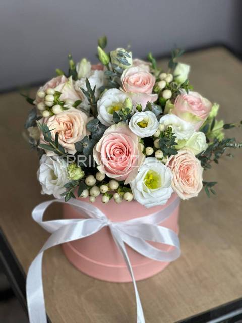 Cuts in the box #V010