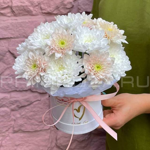 A delicate chrysanthemum composition