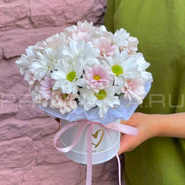 A delicate chrysanthemum composition