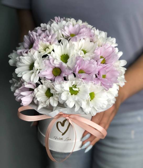 A delicate chrysanthemum composition