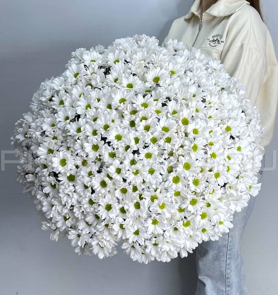 Букет из 51 ромашковой хризантемы #A5151 Flowers delivery Vladivostok
