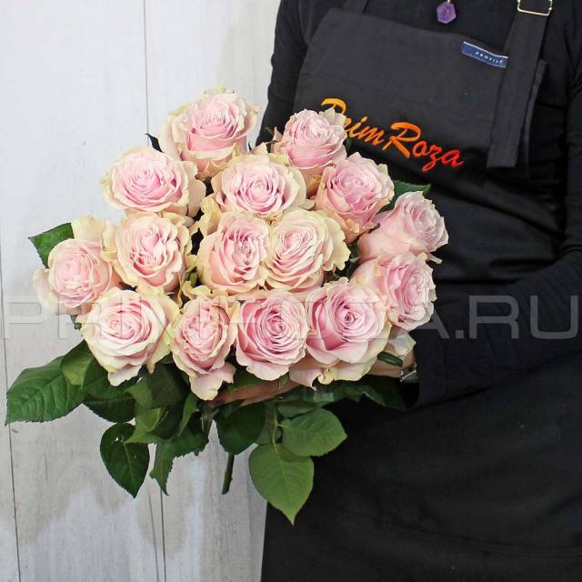 Dusty pink rose #R0218
