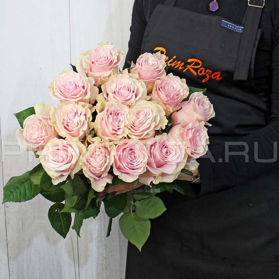 Dusty pink rose #R0218 Flowers delivery Vladivostok