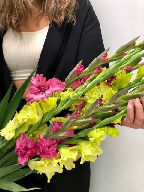 Букет разноцветных гладиолусов "Свежесть"