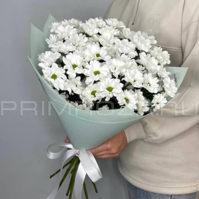 Bouquet of 7 chamomile chrysanthemums #DM11