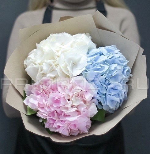Monobucket of 3 hydrangeas #G8844 Flowers delivery Vladivostok